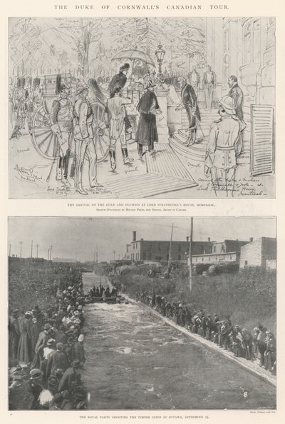 The Duke of Cornwall